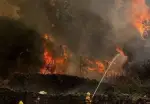 দাবানলে বিপর্যস্ত ফ্রান্স-স্পেন