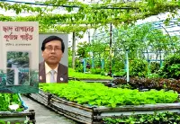 ছাদ বাগানের পূর্ণাঙ্গ গাইড