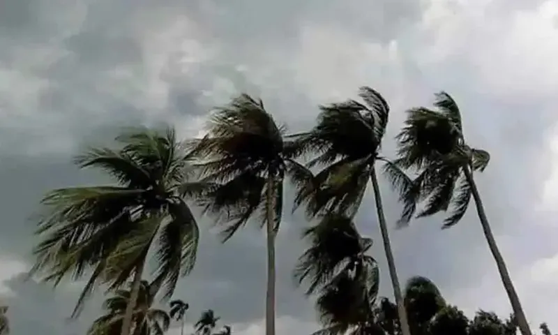 দেশের ৯ অঞ্চলে ঝড়ের সতর্কতা, ঢাকায় বৃষ্টি-বজ্রপাতের আভাস