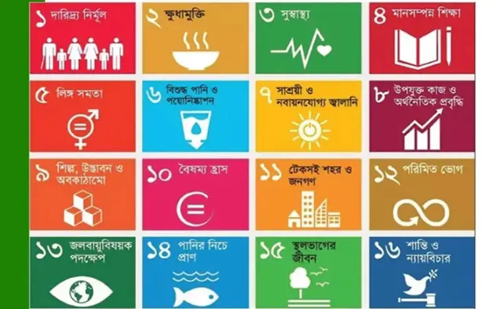 টেকসই উন্নয়নের এনজিও গুরুত্বপূর্ণ ভূমিকা রাখছে 