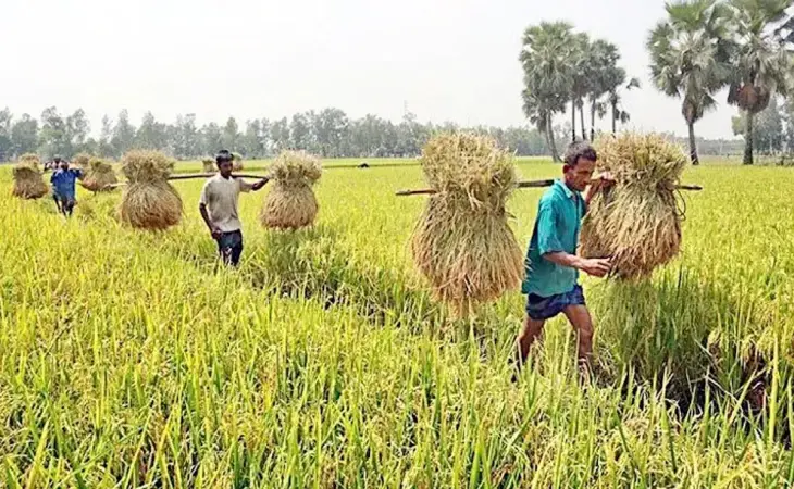 বিশাল বাজেটেও কৃষির ন্যায্য হিস্যার সংকট