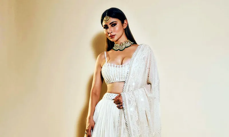 বিচ্ছেদের পর গোপন প্রেমের গুঞ্জন মৌনীর